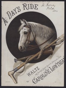 Denní jízda (barevné lito) od English School