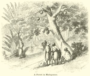 Les na Madagaskaru od English School