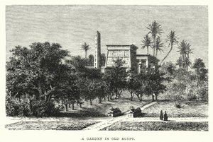 Zahrada ve starém Egyptě (rytina) od English School