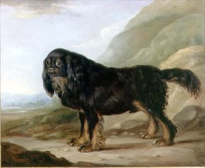 King Charles španěl v krajině od English School