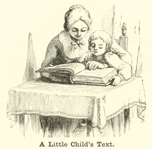 Text malého dítěte od English School