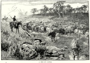 Tlupa dobytka (rytina) od English School