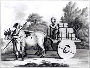 Portugalská farma, od A General View of the State of Portugal od Jamese Murphyho, publikoval 1797 od English School