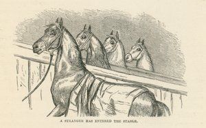 Do stáje vstoupil cizinec (rytina) od English School