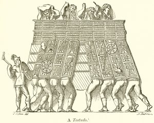 Testudo od English School