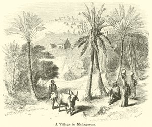 Vesnice na Madagaskaru od English School