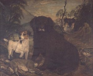 Vodní španěl a dva Jack Russells v denní tašce od English School