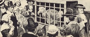 Dodo vystavený v Anglii sedmnáctého století (litho) od English School