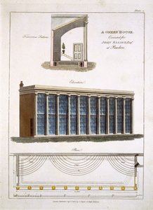 Skleník pro Johna Elliotta v Pimlico, Londýn, 1806 od English School