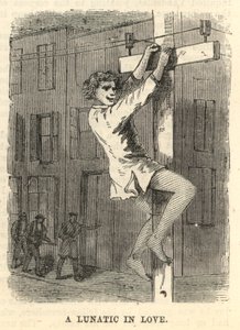 Zamilovaný šílenec od English School