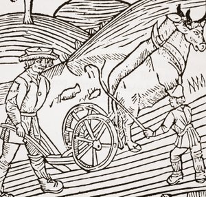 Pár volů zapřáhnutých do pluhu, titulní strana Johna Fitzherbertse Boke of Husbandry, první hospoda. 1523 od English School