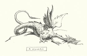 Wyverna (rytina) od English School