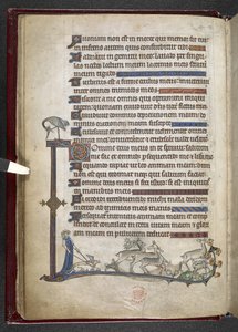 Přidat MS 24686, f.13v žalm s okrajovým rozšířením tvořícím částečný okraj, c.1284-1316 (vellum) od English School