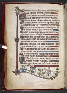 Přidat MS 24686, f.14v, Chlapec na poníkovi s kachnou na lovu sokolů, c.1284-1316 (vellum) od English School