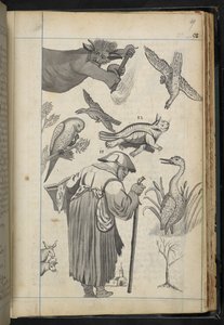 Přidat MS 32496 f.49r Ilustrace z 
