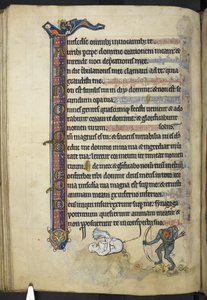 Přidejte MS 62925 f.87v z 