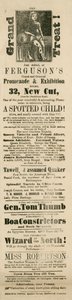 Reklama na Fergusons Grand and Oriental Promenade and Exhibition, 32 New Cut, Lambeth, London od English School