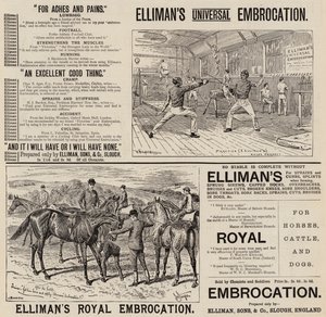Reklama, Elliman