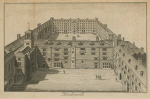 Letecký pohled na palác Bridewell od English School