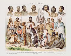 Africké rasy (barevné rytí)