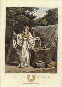 Arch Druid ve svém soudcovském hábitu od English School