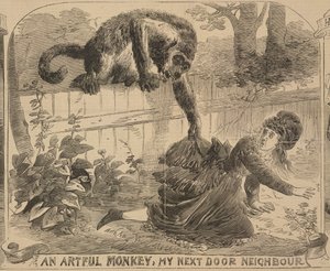 „An Artful Monkey, My Next Door Neighbour“, ilustrace z „Illustrated Police News“, 24. srpna 1872 (litho) od English School