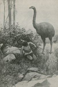Ein ausgestorbener Bewohner Neuseelands