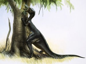 Anatosaurus od English School