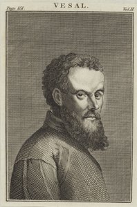 Andreas Vesalius od English School