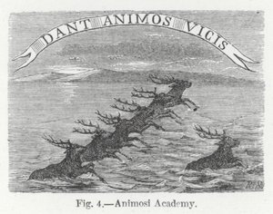 Animosi Academy (rytina) od English School