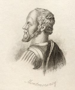 Anne de Montmorency, z 