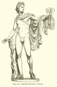 Apollo Belvedere, Vatikán od English School