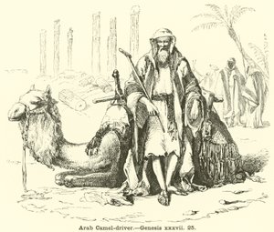 Řidič arabského velblouda, Genesis, xxxvii, 25 od English School