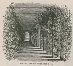 Arkáda vedoucí do Ball Room, Holland House od English School