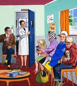 U veterinářů od English School