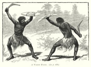 Austrálie: Waddy Fight (rytina) od English School