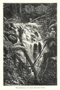 Austrálie: Vodopád v Black Spur (rytina) od English School