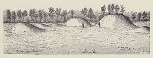 Avondale Mounds, okres Washington, Mississippi (litografie) od English School