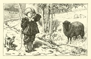 Nebo, nebo, černá ovce od English School