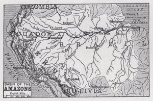 Povodí Amazonek (litho) od English School