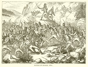 Bitva u Busaca, 1810