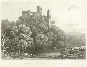 Berry Pomeroy Castle, Devonshire (rytina) od English School