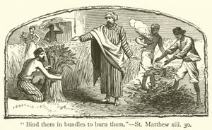 „Svažte je do svazků, abyste je spálili“, St Matthew, xiii, 30 (rytina) od English School
