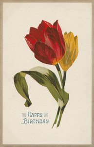 Přání k narozeninám (chromolit) od English School