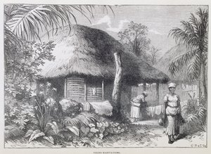 Black Habitations, z 