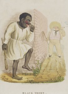 Černý trn, 1836 od English School