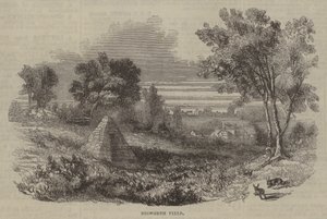 Bosworth Field od English School