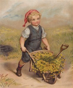 Chlapec tlačí trakař plný květin (chromolit) od English School