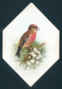 Brambling, novoroční přání od English School