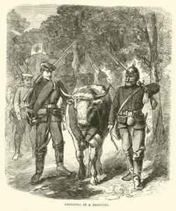 Přivedení vězně, září 1870 od English School